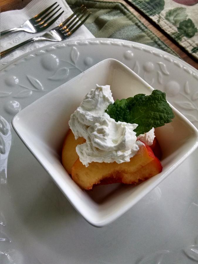 Mountain Laurel Inn Damascus エクステリア 写真